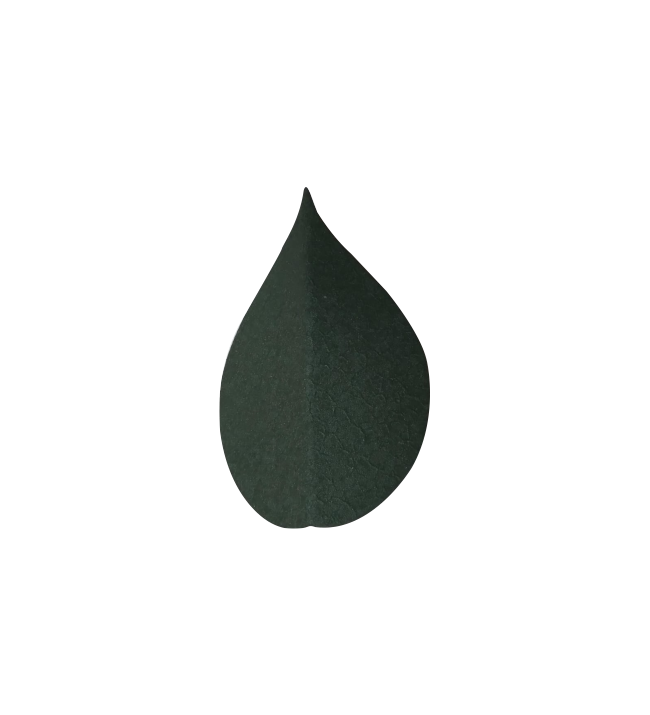 Led Image